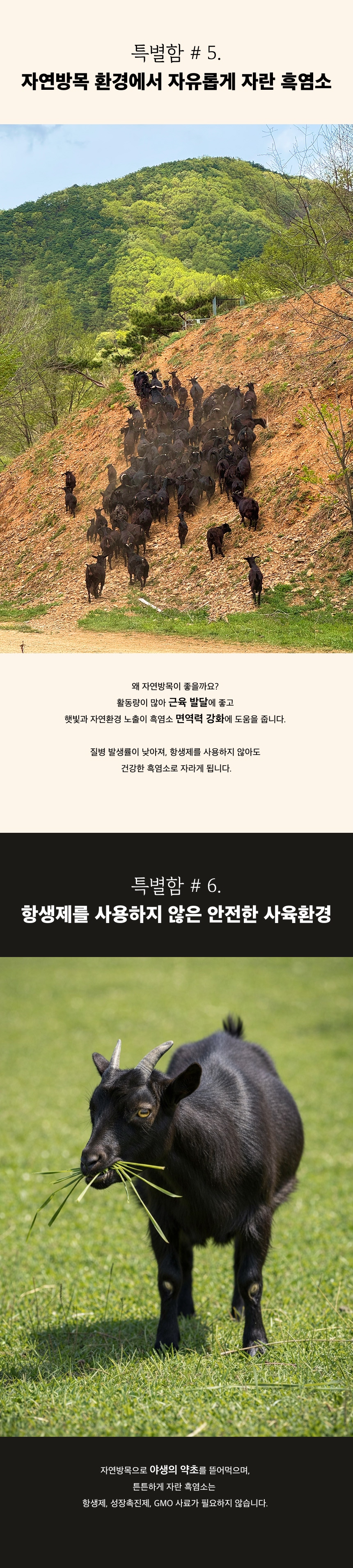 06.jpg